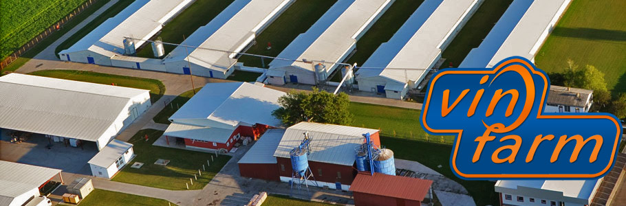 Vin Farm | Proizvodnja konzumnih jaja i koka nosilja